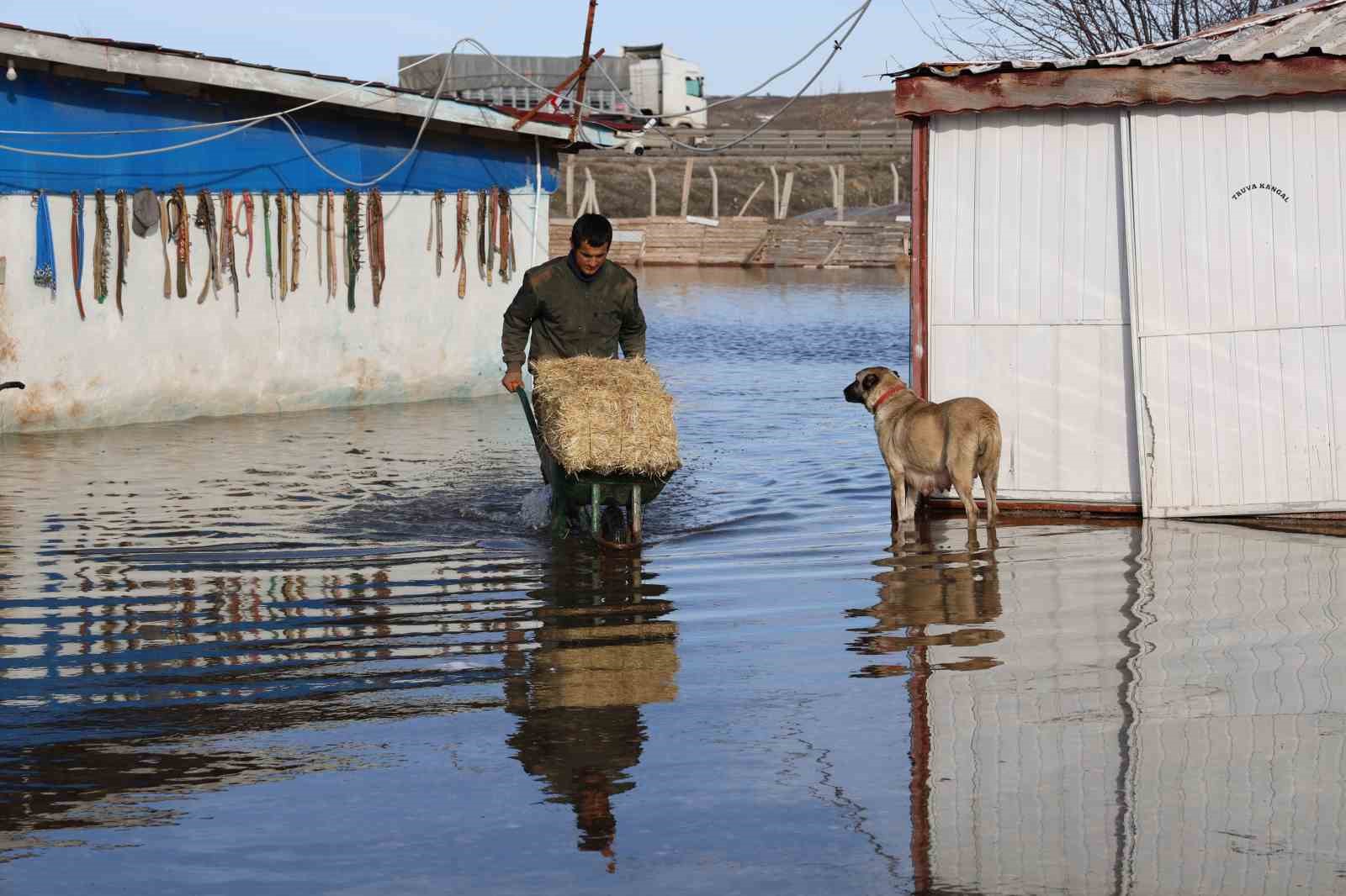 Sivas’ın dünyaca ünlü marka değeri Anadolu Aslanları su altında kaldı
