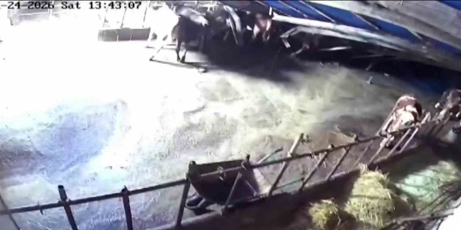 Sivas’ta ahır çöktü, o anlar güvenlik kamerasına yansıdı
