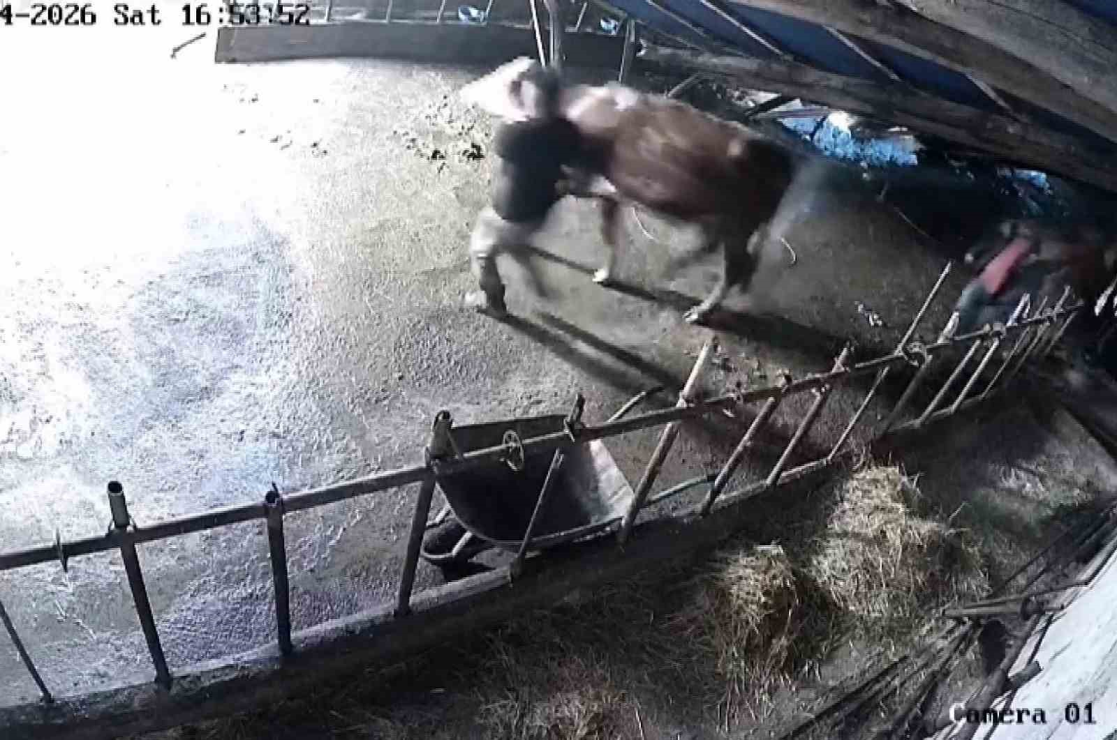 Sivas’ta ahır çöktü, o anlar güvenlik kamerasına yansıdı
