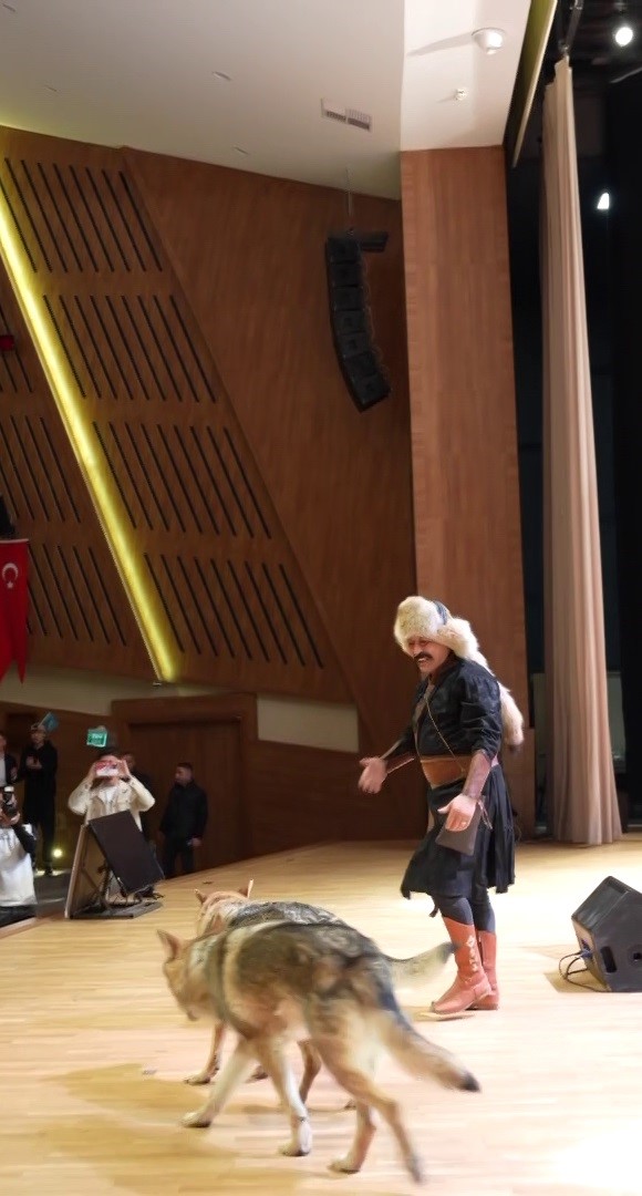 Sivas’ta Nevruz kutlamalarında renkli görüntüler: Sahneye kurtlar çıktı, şahin havada uçtu
