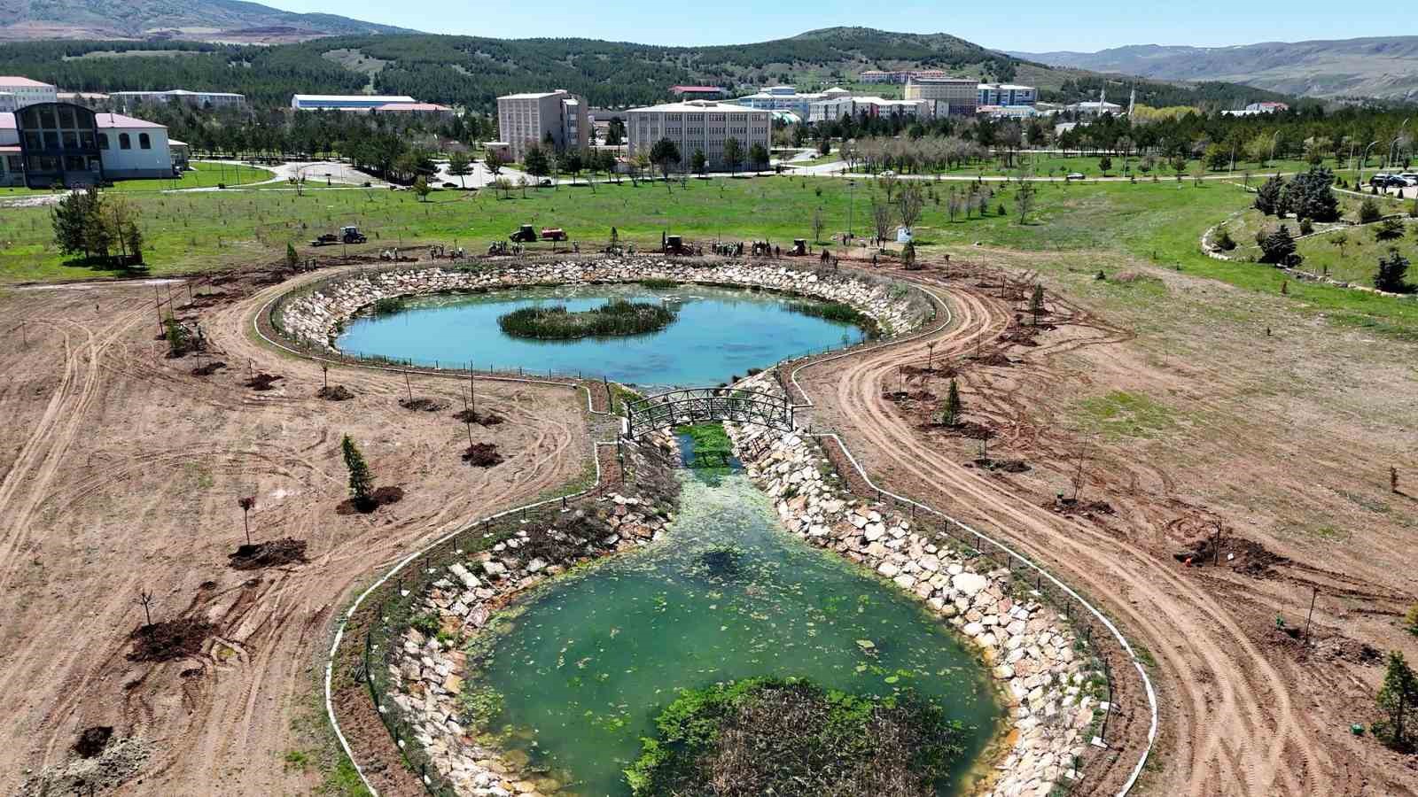 Sivas’ta şehitlerin adı fidanlarda yaşatılacak
