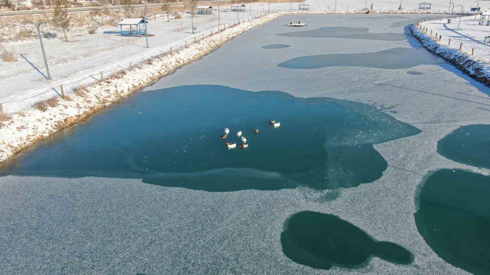 Sivas’ta soğuk hava etkisini gösterdi, ördeklerin olduğu gölet kısmen dondu

