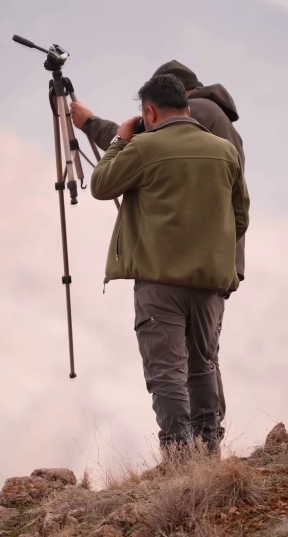 Sivas’taki vahşi yaşam, Milli Parklar kamerasına yansıdı
