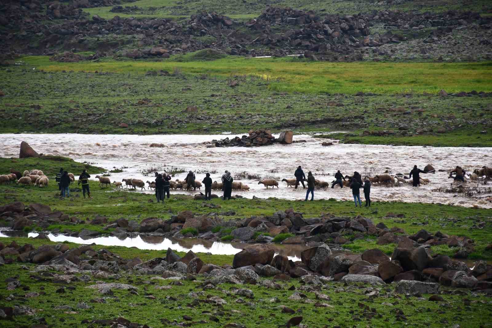 Siverek’te sağanak sonrası derede mahsur kalan çoban ve koyun sürüsü kurtarıldı
