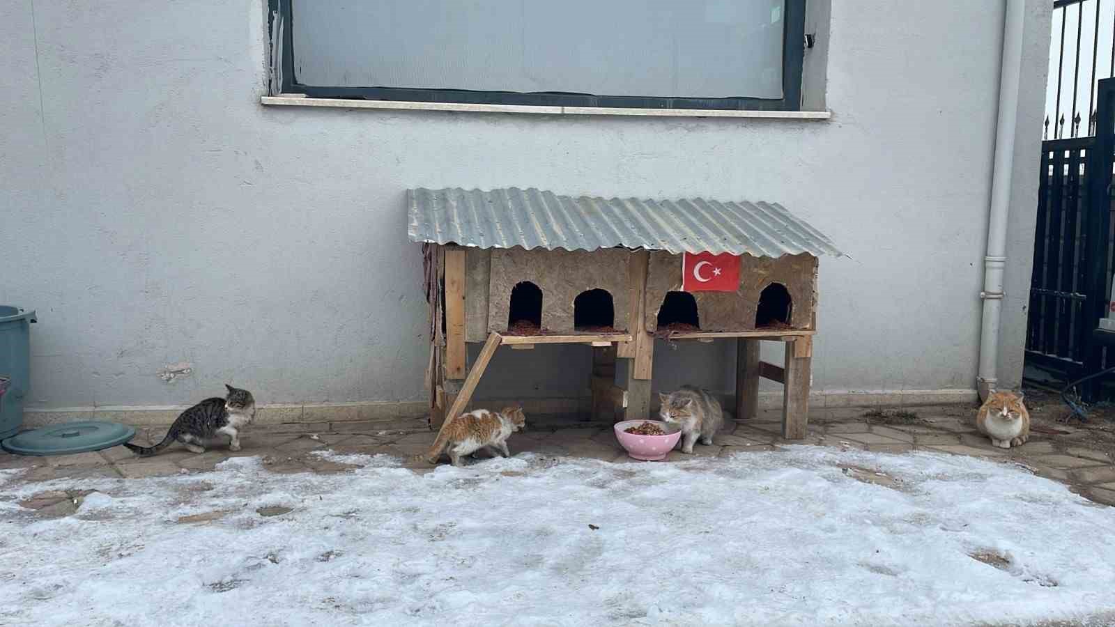 Sivrice polisinden üşüyen minik dostlarına kedi evi

