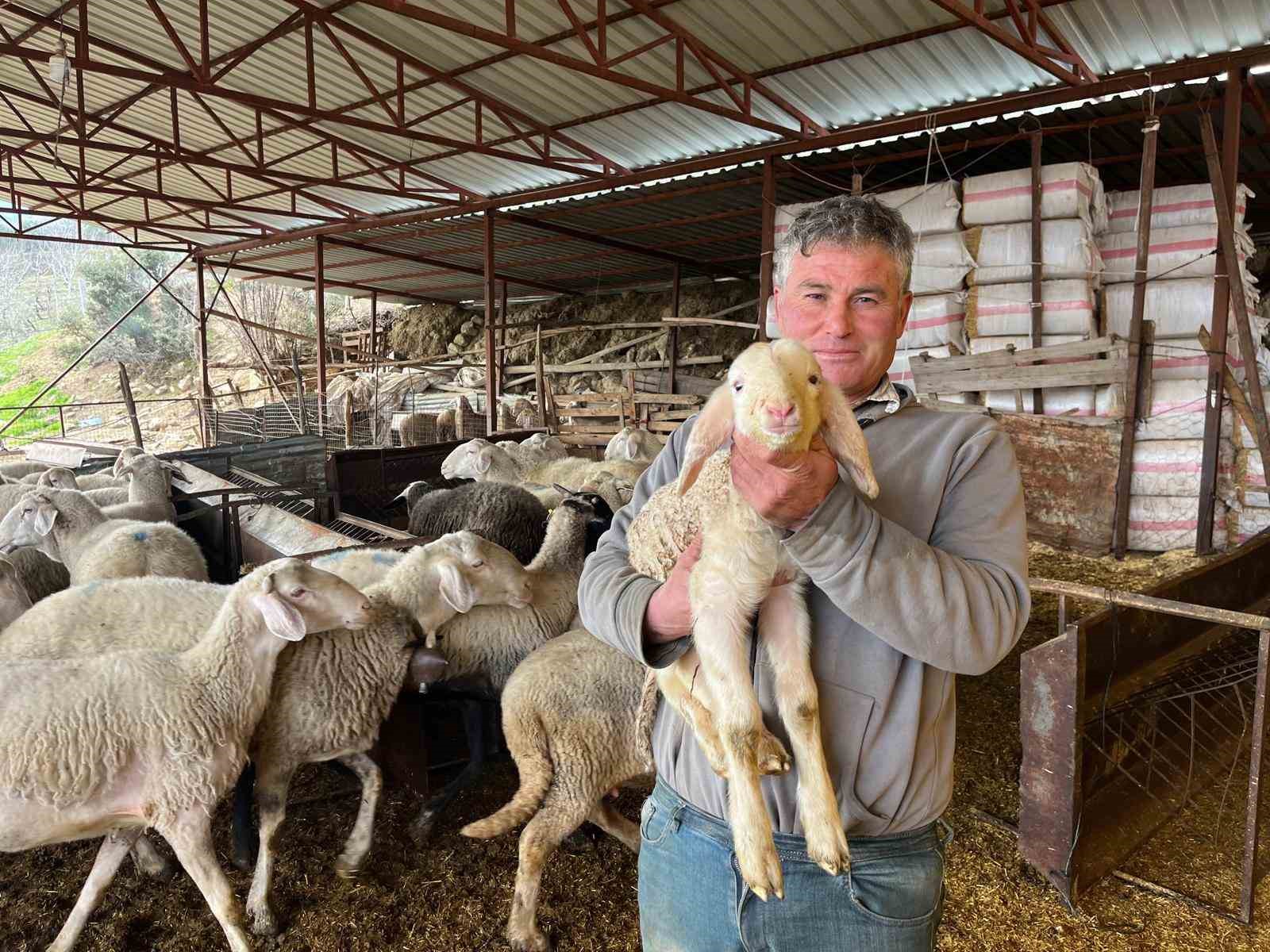 Soğuk havalarda gerçekleşen doğumun ardından üreticilerin yüzü güldü
