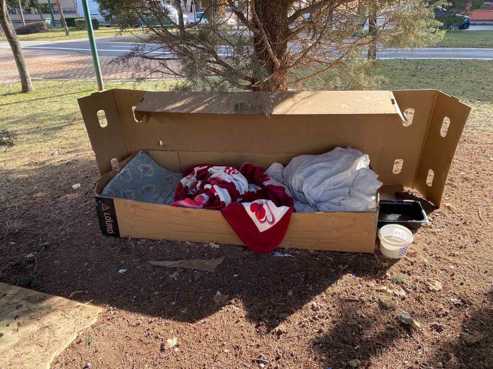 Soğuk kış şartlarında hayvanlar için korunaklı kulübeler yaptılar
