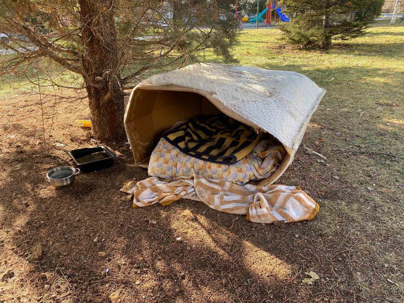 Soğuk kış şartlarında hayvanlar için korunaklı kulübeler yaptılar
