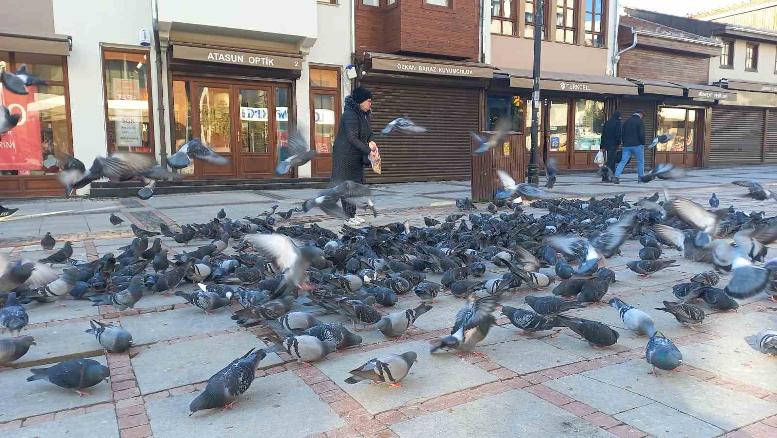 Soğukta üşüyen kuşlar için 5 kilometrelik şefkat yolculuğu
