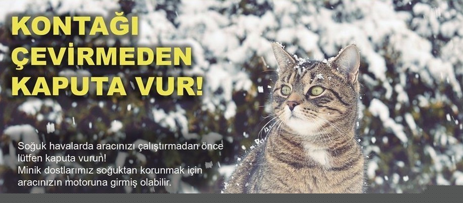 Soğuktan korunmak için girdiği araçta sıkışan kedi kurtarıldı
