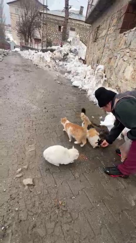 Sokak hayvanlarını beslemek için her yıl bin 400 kilometre yol geliyor
