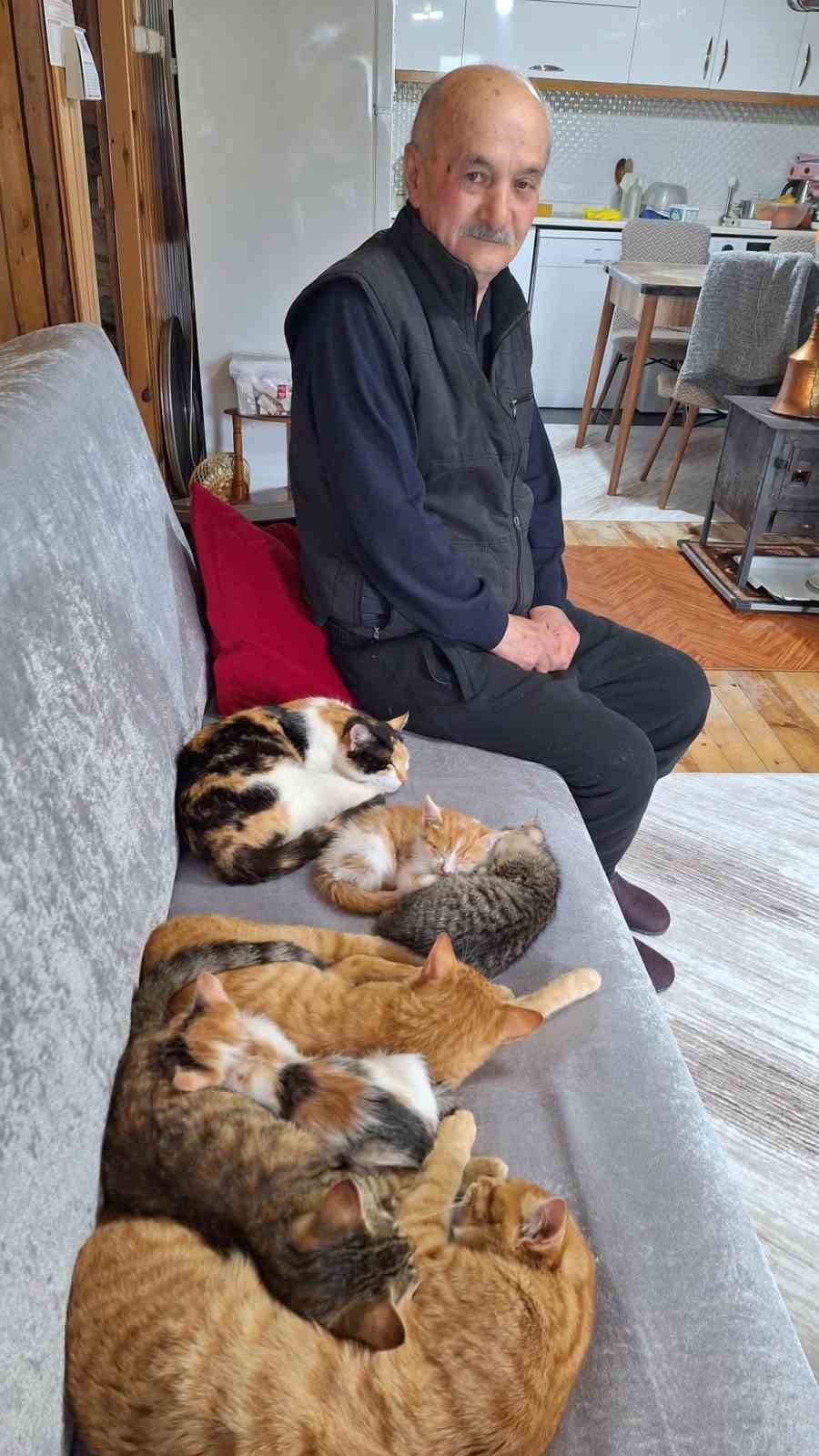 Sokak kedilerine evinin kapısını açtı, onlara yuva oldu
