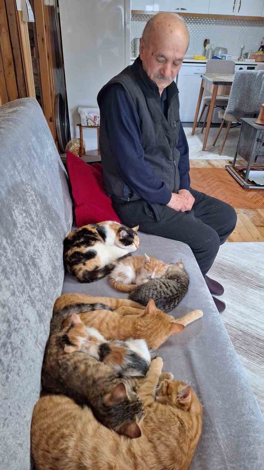 Sokak kedilerine evinin kapısını açtı, onlara yuva oldu
