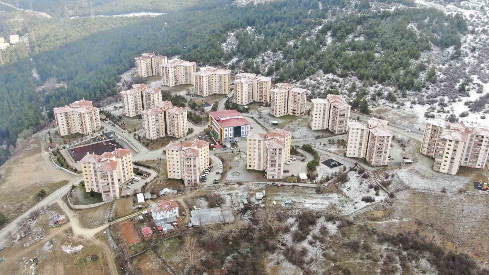 Sokak köpeklerinin saldırısına uğrayan kadını vatandaşlar kurtardı: O anlar kamerada
