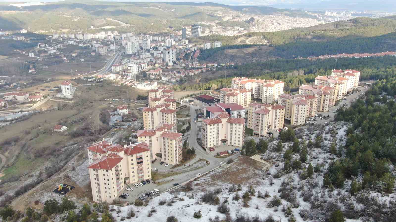 Sokak köpeklerinin saldırısına uğrayan kadını vatandaşlar kurtardı: O anlar kamerada
