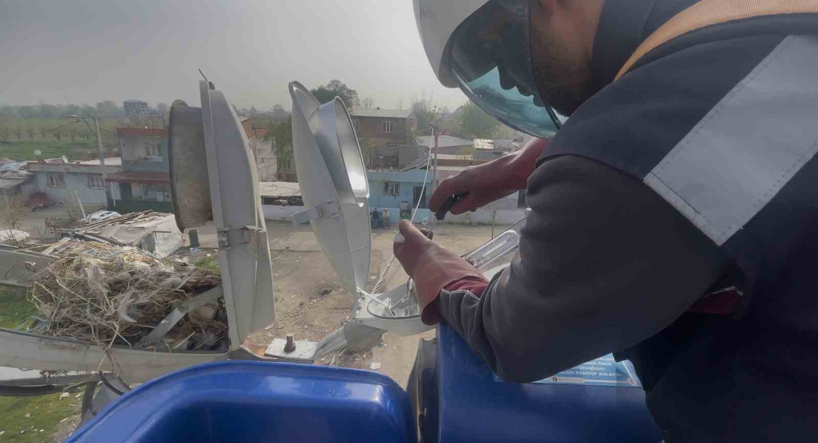 Sokak lambaları kuşlara yuva oldu
