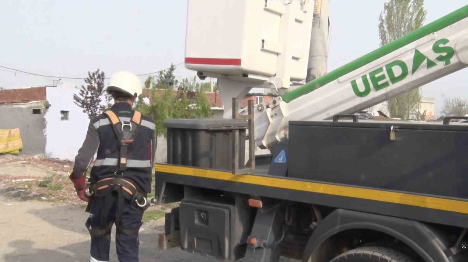 Sokak lambaları kuşlara yuva oldu
