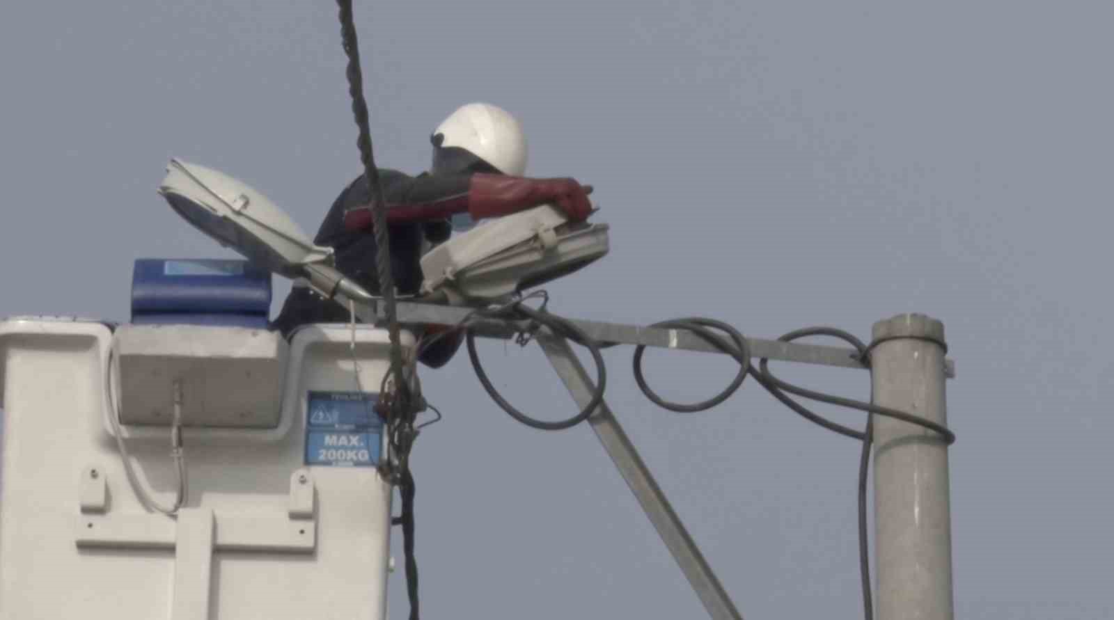 Sokak lambaları kuşlara yuva oldu
