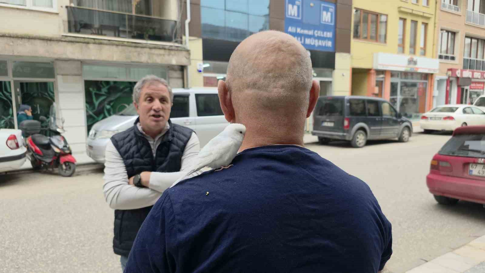 Sokaklarda omzundaki kuşuyla geziyor
