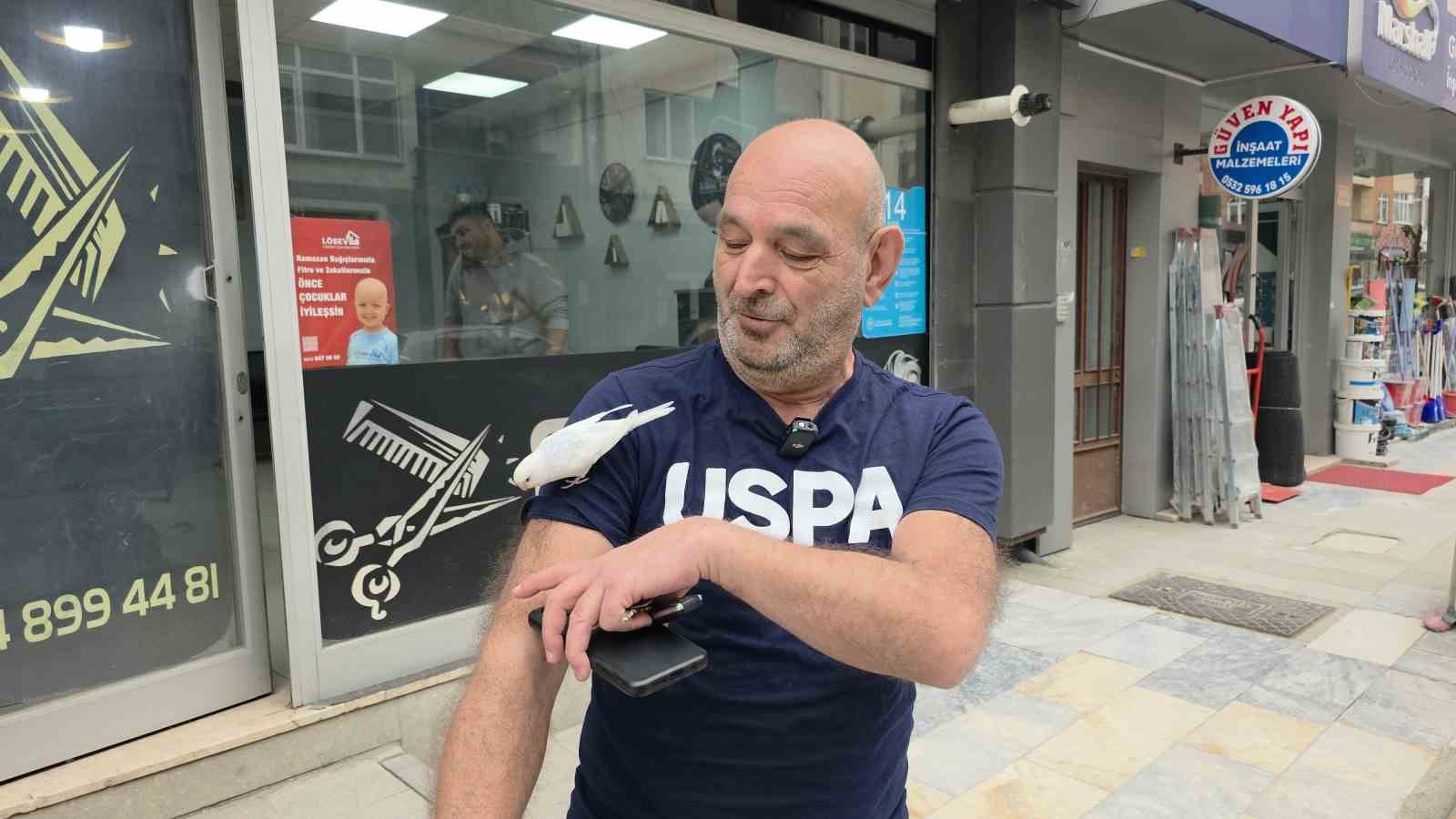 Sokaklarda omzundaki kuşuyla geziyor
