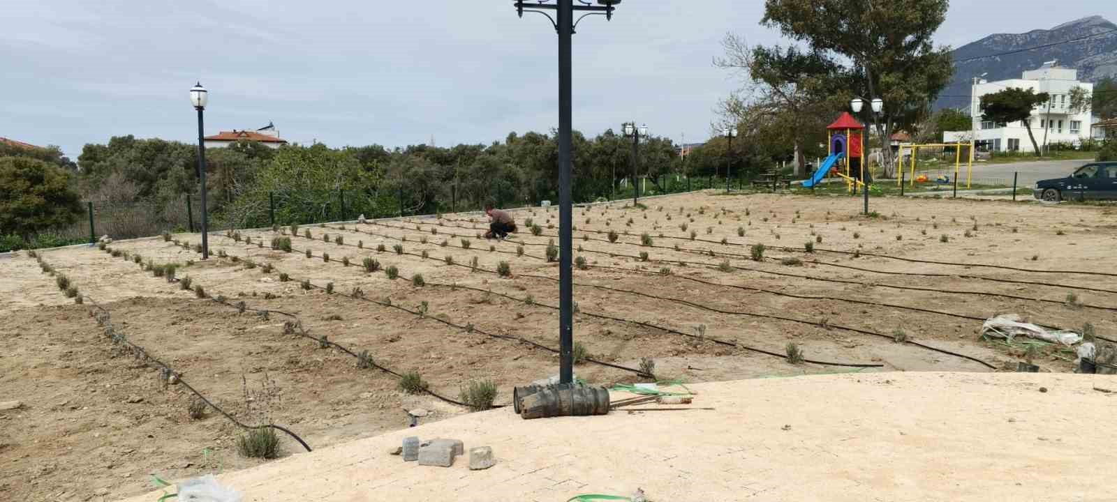 Söke Belediyesi, ilçe genelinde çalışmalarını sürdürüyor
