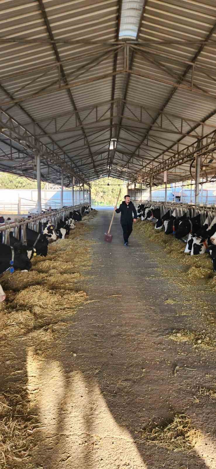 Söke TAYEM’de tüberküloz ve brucella taraması yapıldı
