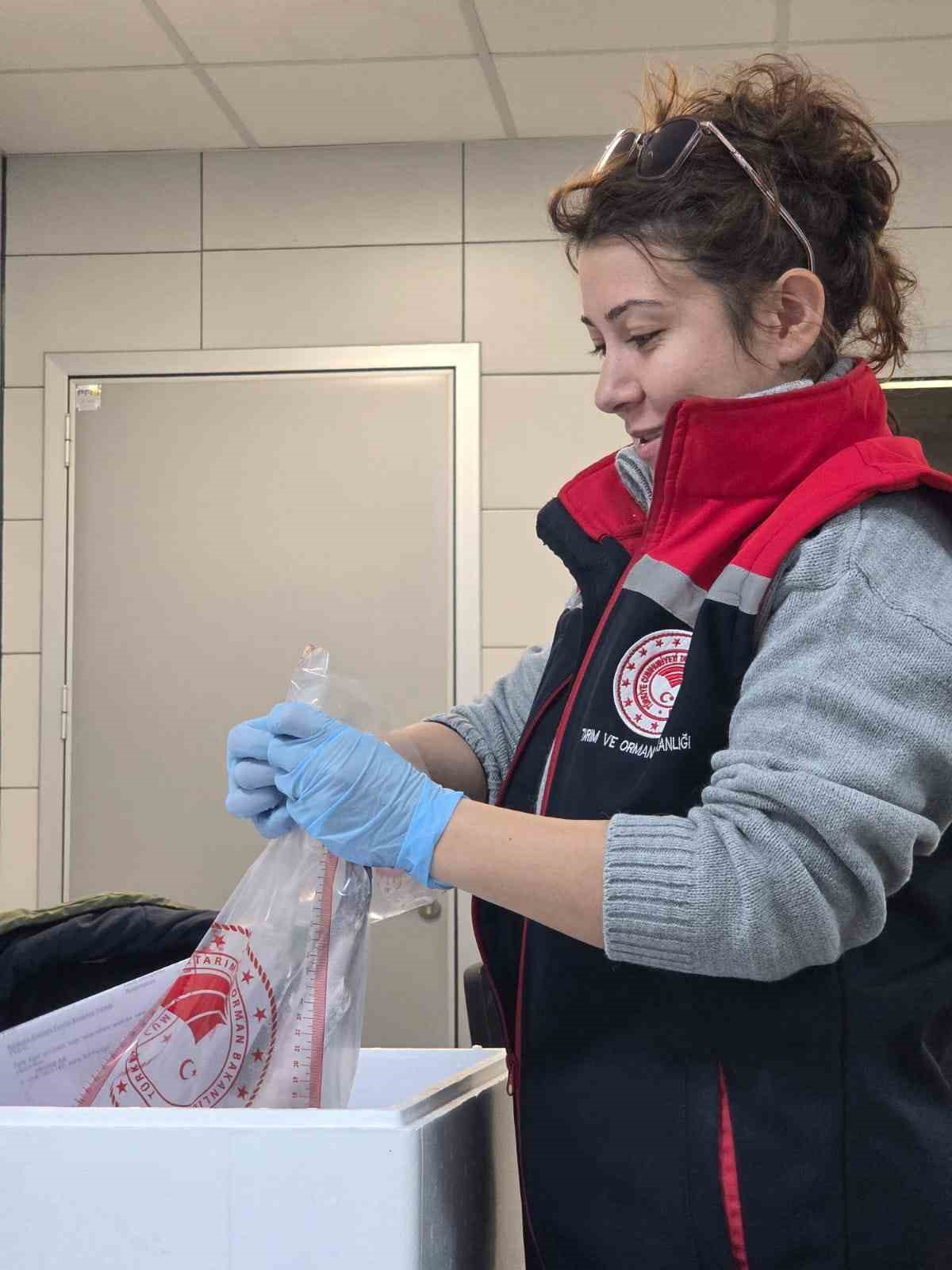 Söke’de 2025 yılında 2 bin 507 işletme denetlendi
