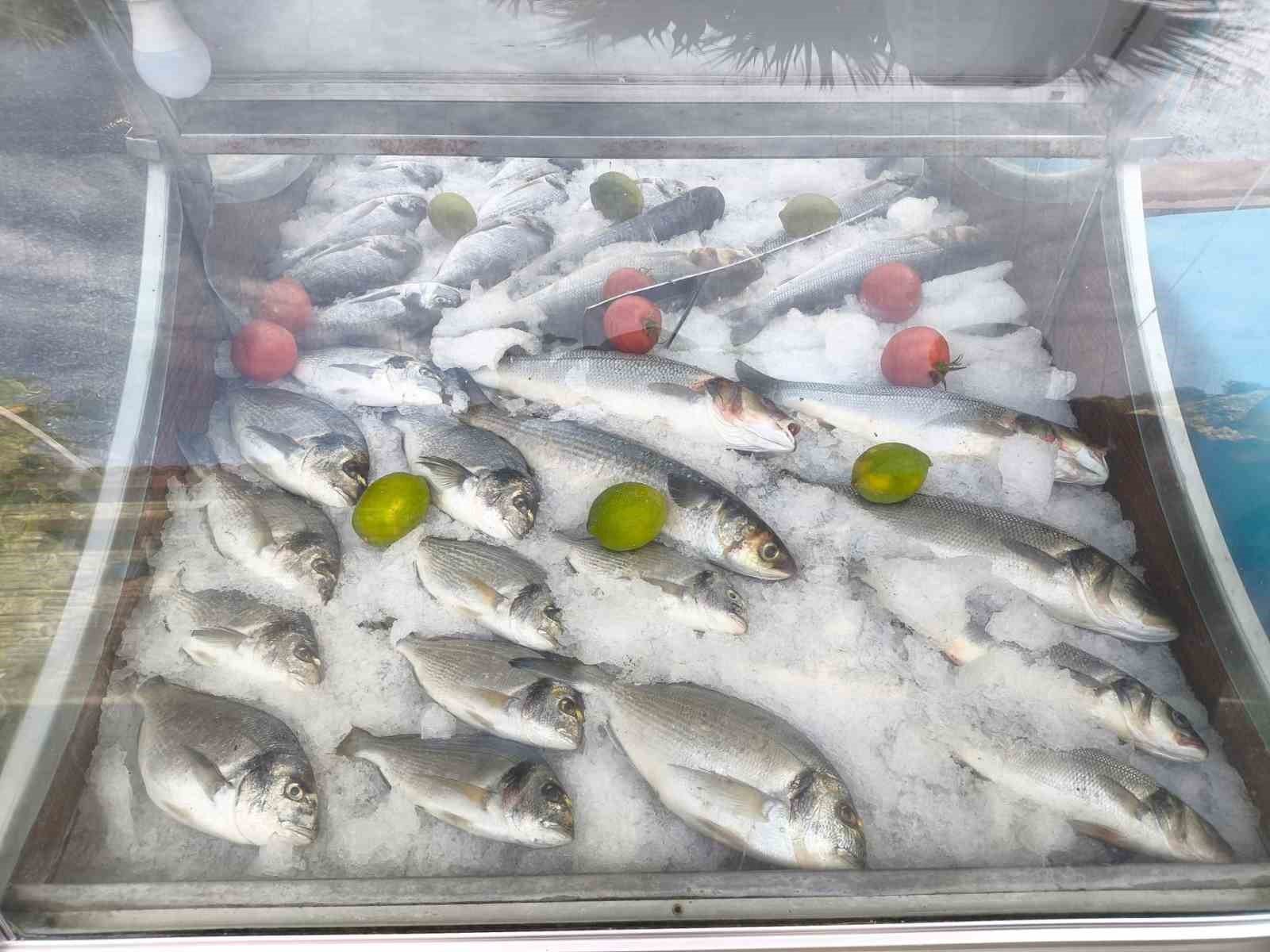 Söke’de 814 su ürün denetimi yapıldı
