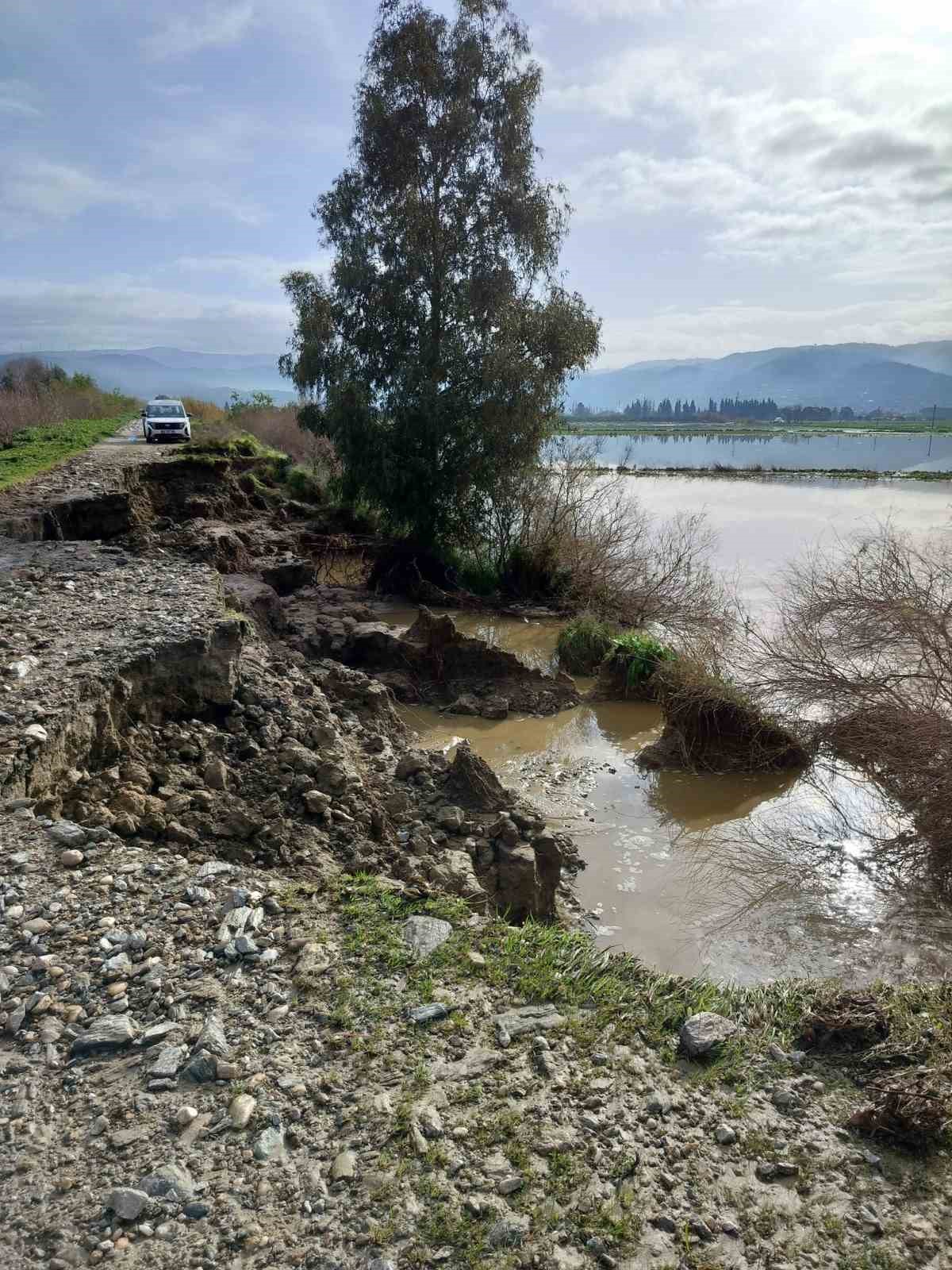 Söke’de aşırı yağışlar sonrası tarım alanlarında hasar tespiti
