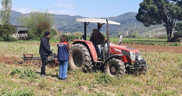 Söke’de hububat ekili araziler denetlendi
