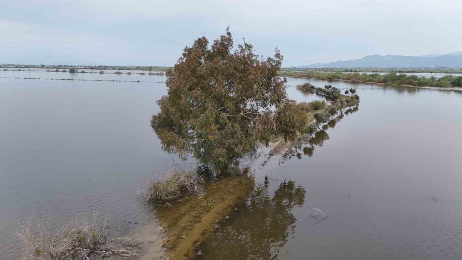 Söke’deki taşkının izleri havadan görüntülendi
