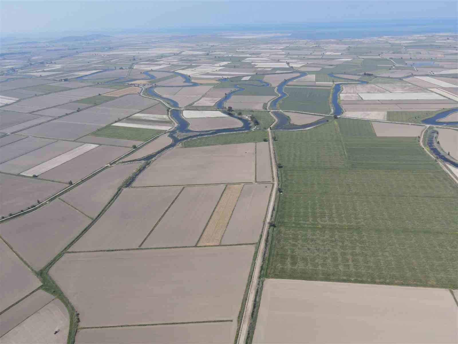 Söke’nin 2026 yılı ürün deseni belli oldu
