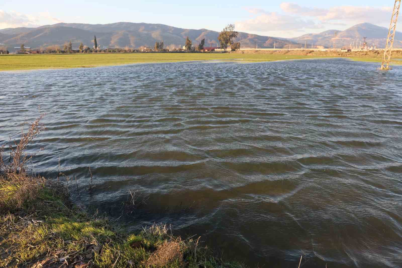 Son 65 yılın en kurak yılını geride bırakan Hatay’da etkili olan yağışla tarım arazileri su altında kaldı
