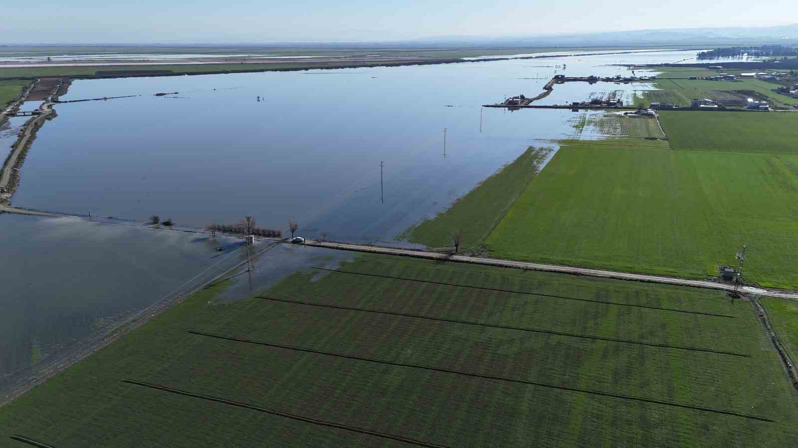 Son 65 yılın en kurak yılını geride bırakan Hatay’da etkili olan yağışla tarım arazileri su altında kaldı
