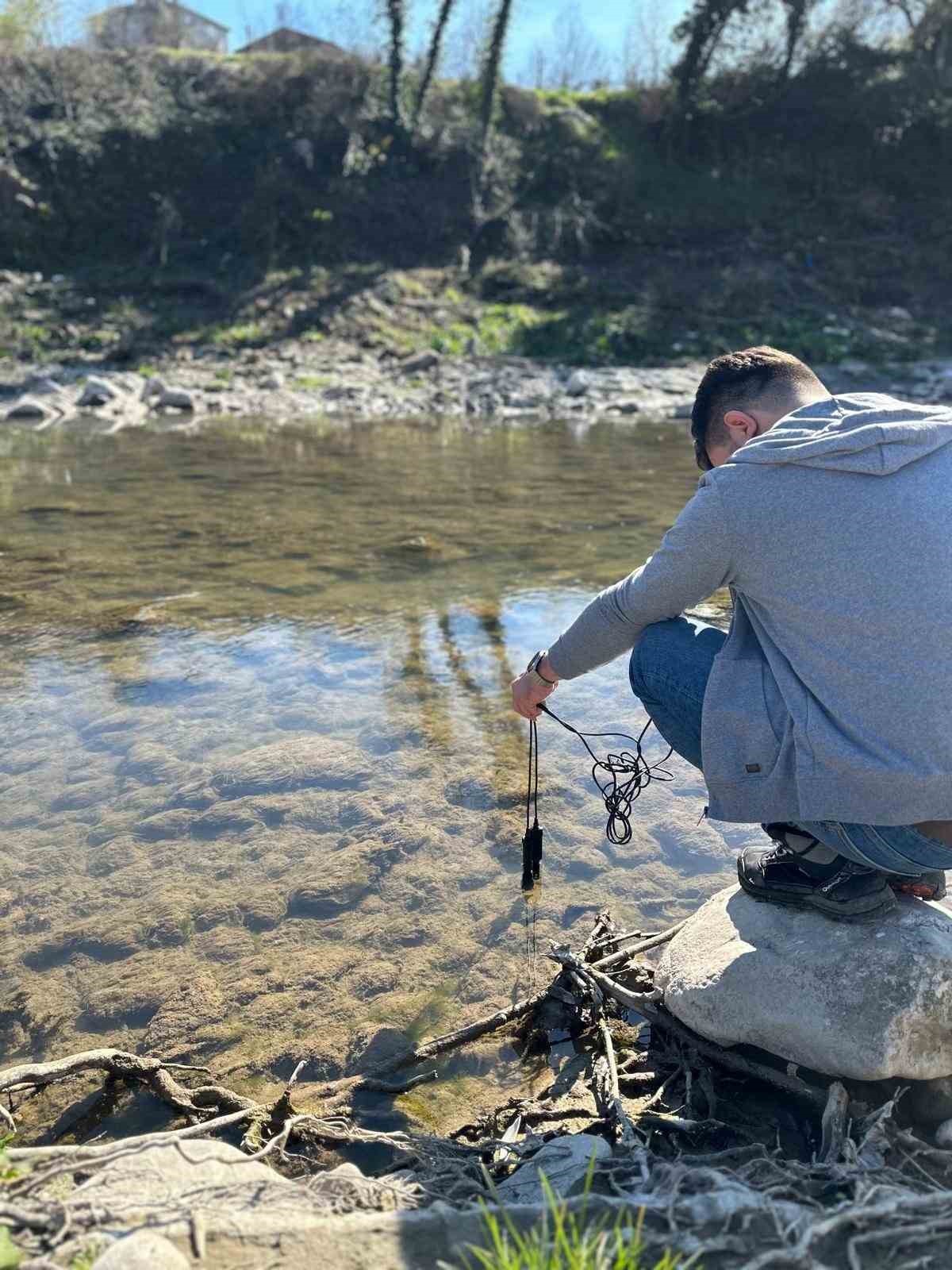 Su bitkileri ile doğal arıtma
