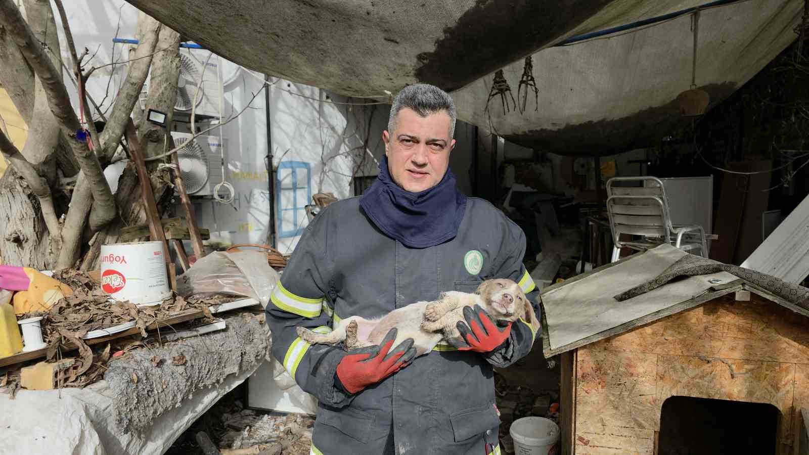 Su deposuna düşen yavru köpek 6 saat sonra kurtarıldı
