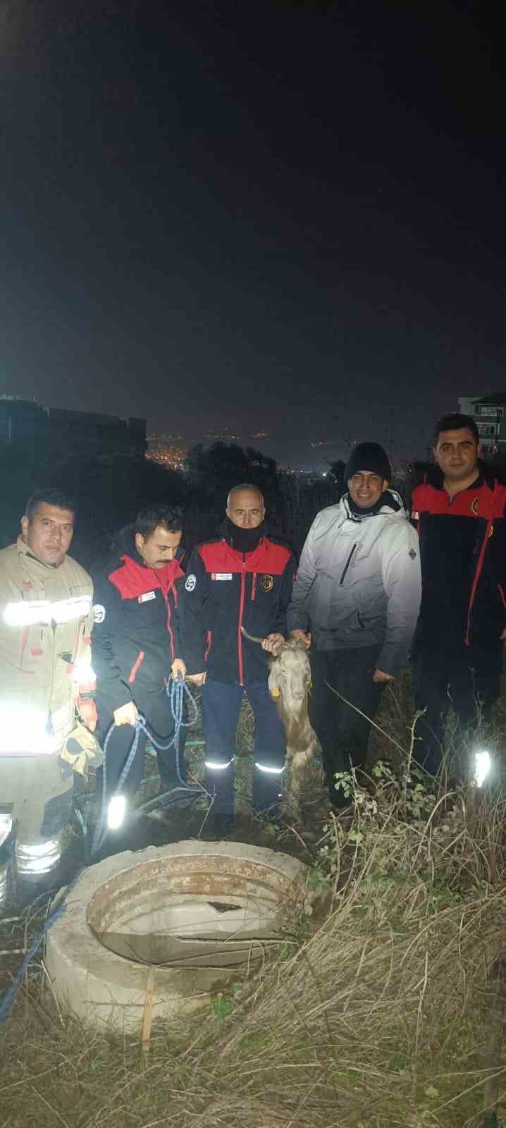 Su kuyusunda mahsur kalan keçiyi itfaiye kurtardı
