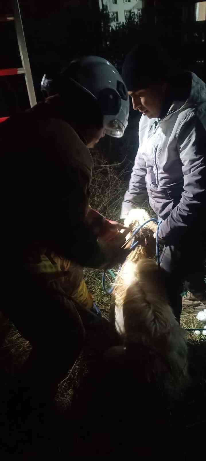 Su kuyusunda mahsur kalan keçiyi itfaiye kurtardı
