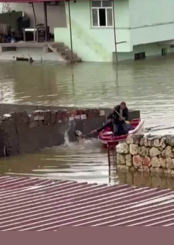 Su taşkınında evde mahsur kalan köpek, vatandaşların bindiği botla kurtarıldı
