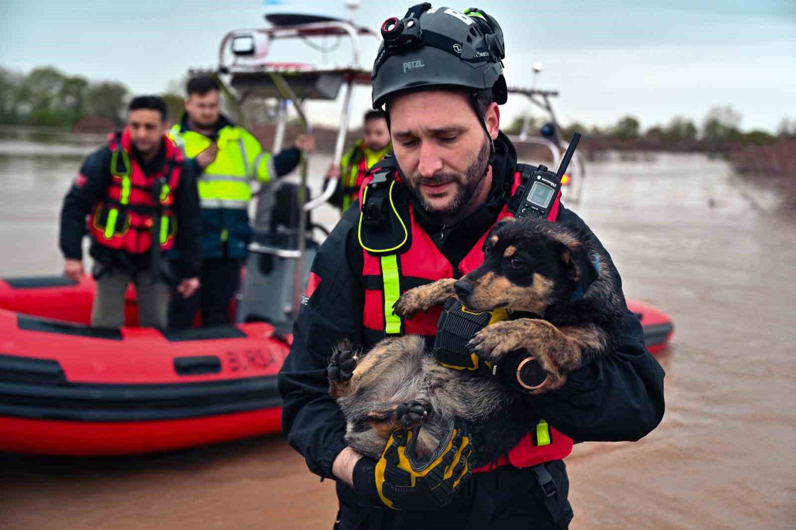 Sular altında kalan bağ evinde mahsur kalan iki köpeği belediye ekipleri kurtardı
