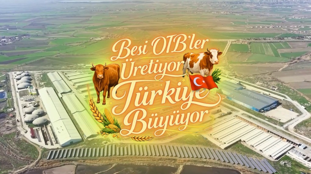 Suluova Besi OTB’de 15 bin 650 büyükbaş kapasite, bin 500 kişiye istihdam
Suluova Besi OTB’de 15 bin 650 büyükbaş kapasite, bin 500 kişiye istihdam