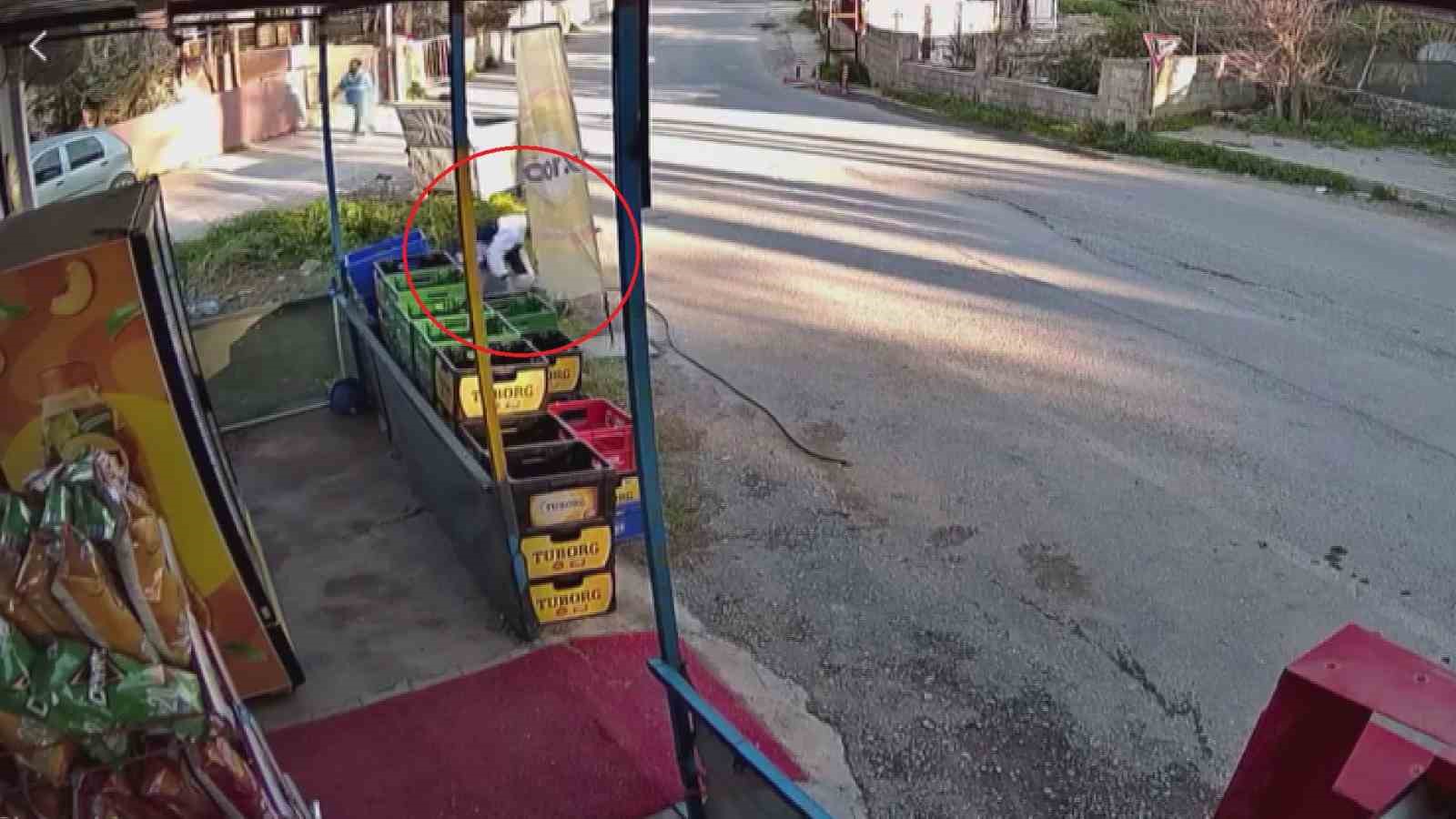 Sürünün geçişi esnasında 3 metrelik kuyuya düşen koyunu esnaf kurtardı: O anlar kamerada
