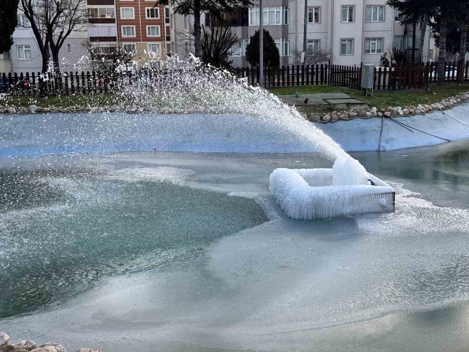 Süs havuzları buz heykeline dönüştü
