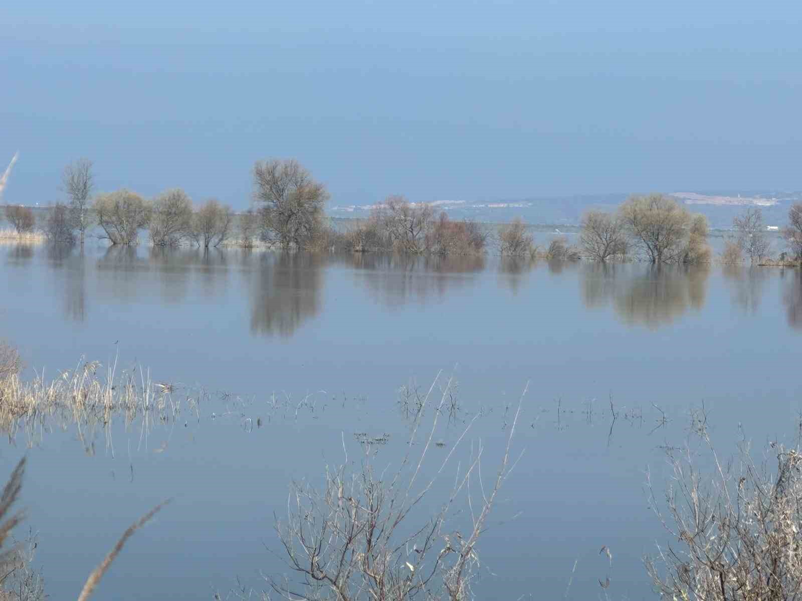 Süt inekçiliğinden dört çocuğunu büyüterek üniversitede okuttu
