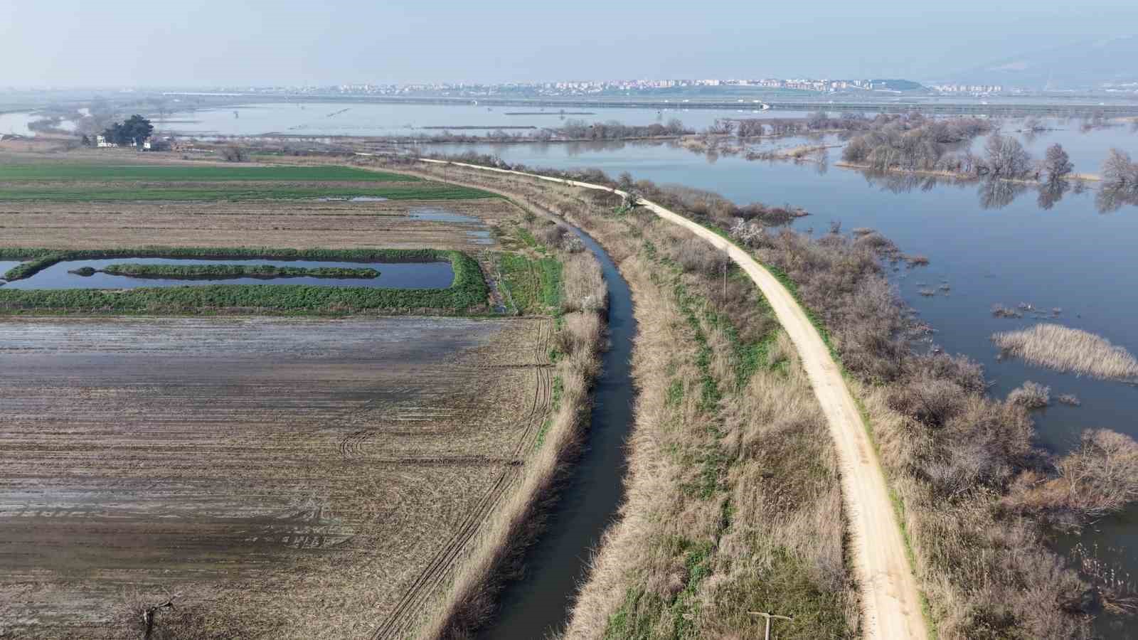Süt inekçiliğinden dört çocuğunu büyüterek üniversitede okuttu
