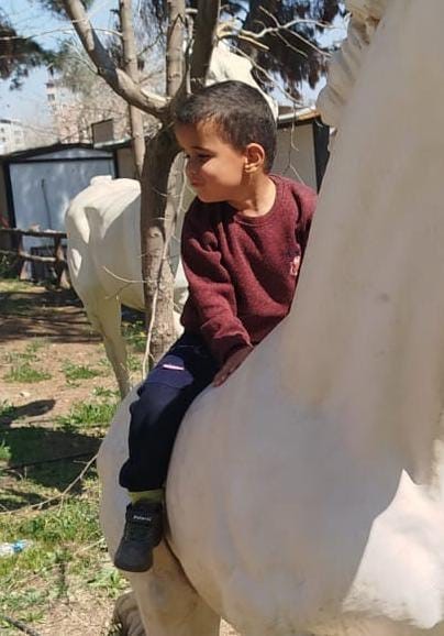 Suyla dolarak 2 kardeşe mezar olan havuz temelinin 8 aydır açık olduğunu söyleyen baba, evlatlarının acısıyla yaşıyor
Suyla dolarak 2 kardeşe mezar olan havuz temelinin 8 aydır açık olduğunu söyleyen baba, evlatlarının acısıyla yaşıyor