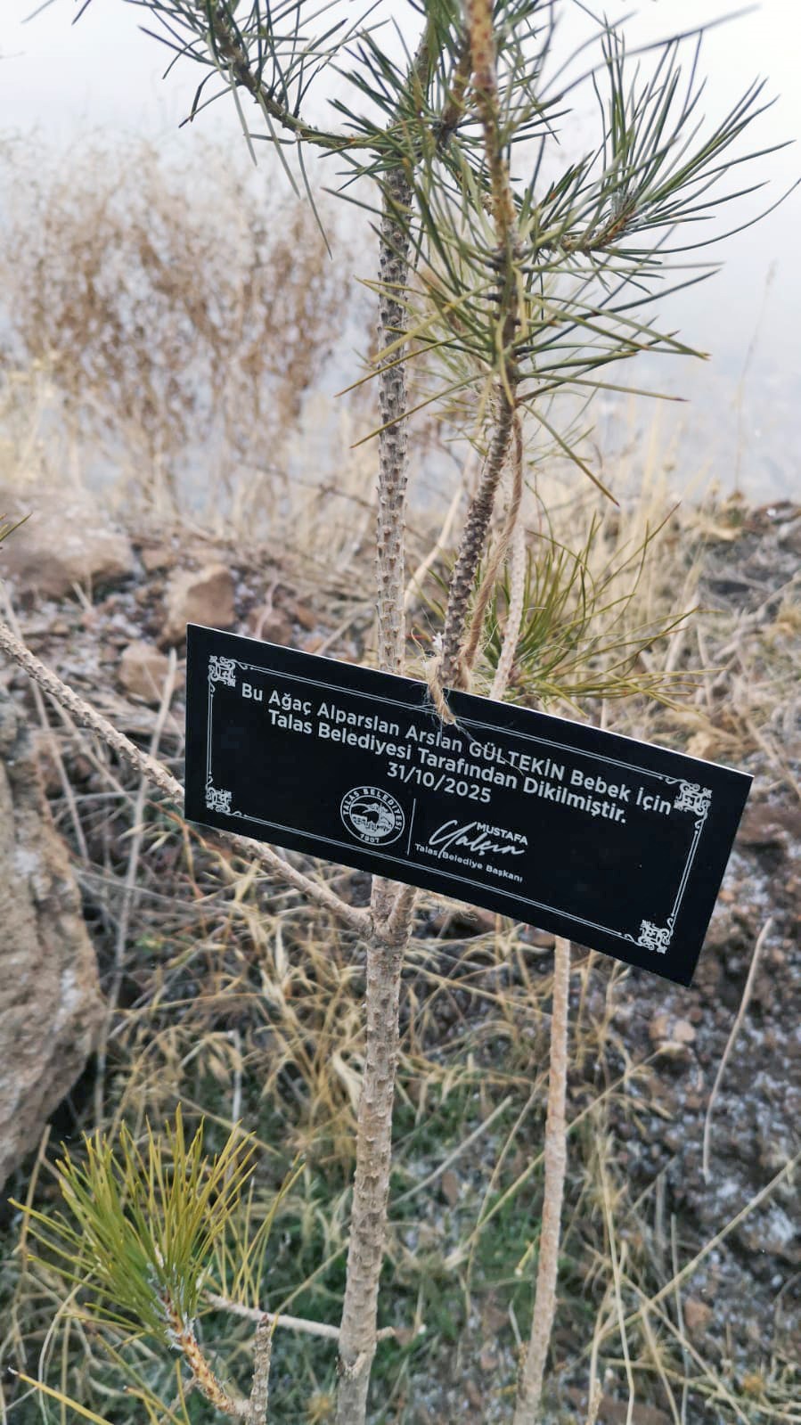 Talas Belediyesi’nden geleceğe nefes: Her bebek için bir fidan
Talas Belediyesi’nden geleceğe nefes: Her bebek için bir fidan