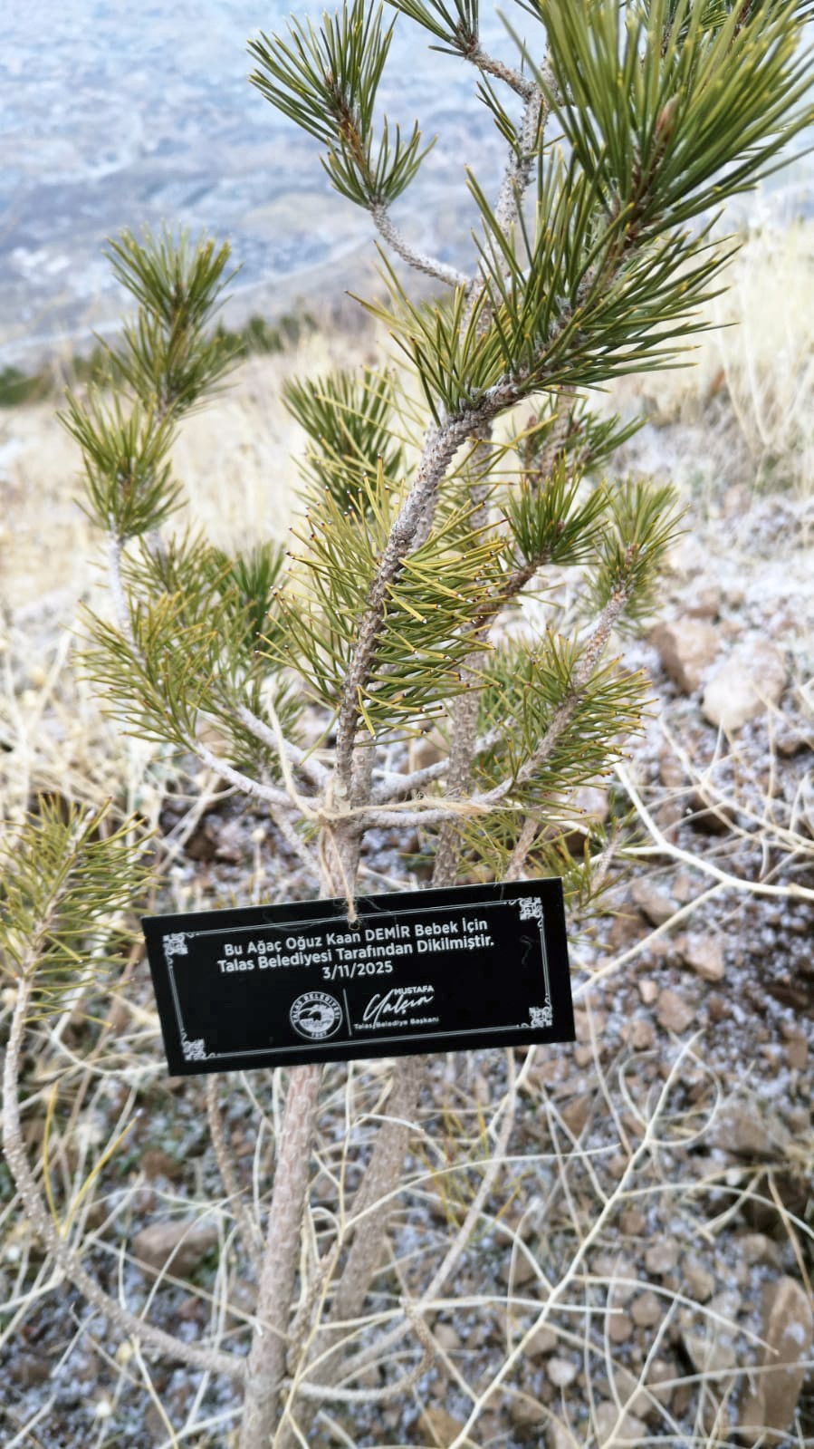 Talas Belediyesi’nden geleceğe nefes: Her bebek için bir fidan
Talas Belediyesi’nden geleceğe nefes: Her bebek için bir fidan