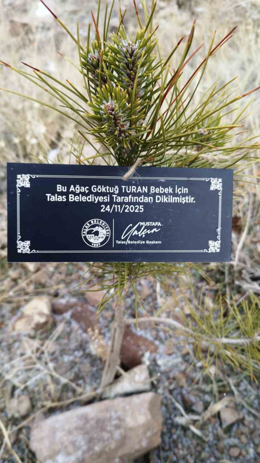 Talas Belediyesi’nden geleceğe nefes: Her bebek için bir fidan
Talas Belediyesi’nden geleceğe nefes: Her bebek için bir fidan