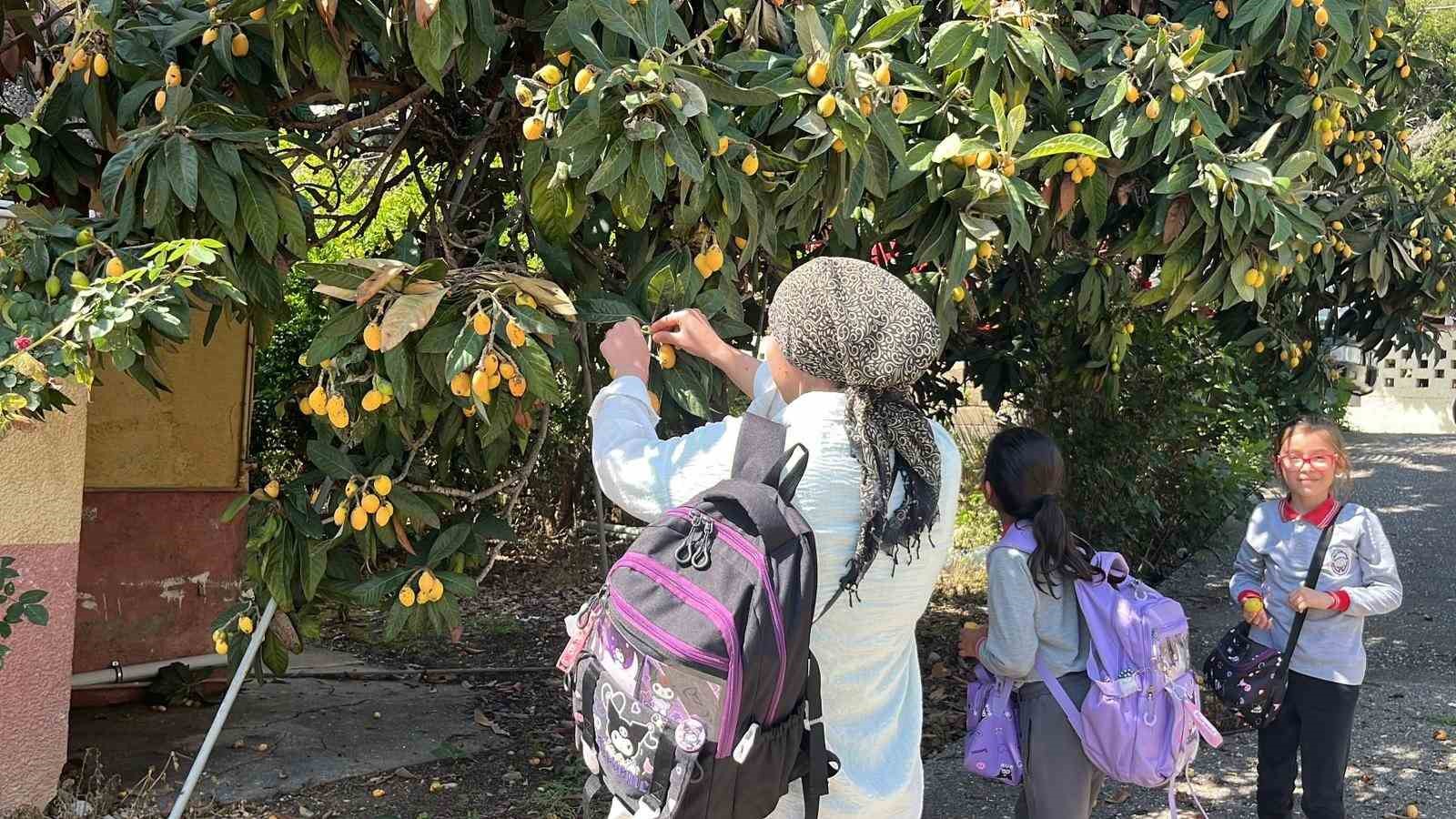 Talep azalınca bedava dağıttı, poşetini alan bahçeye koştu
